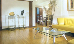 2009年地板行業(yè)發(fā)展形勢謹慎樂觀